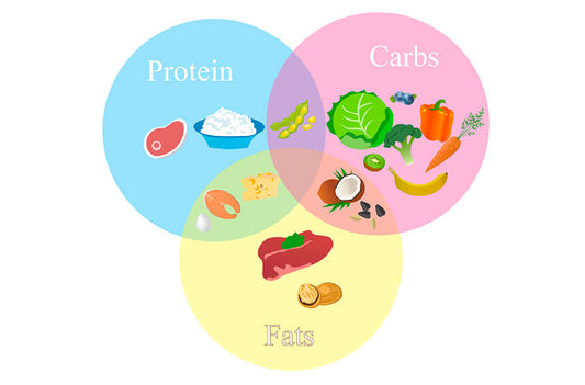 What are Macronutrients?