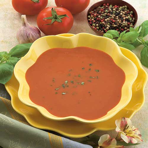 Creamy Tomato Diet Soup (7/Box) - BestMed - Doctors Weight Loss